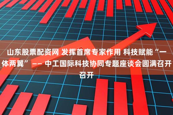 山东股票配资网 发挥首席专家作用 科技赋能“一体两翼” —— 中工国际科技协同专题座谈会圆满召开
