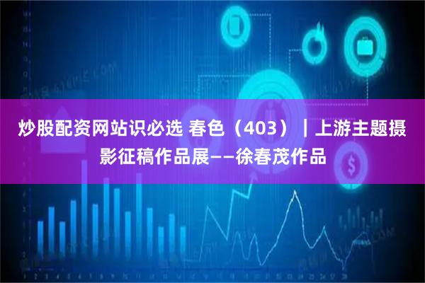 炒股配资网站识必选 春色（403）｜上游主题摄影征稿作品展——徐春茂作品